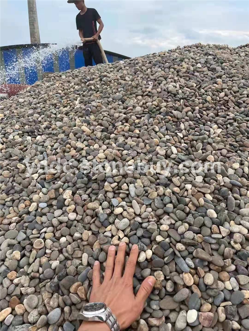 广东变压器鹅卵石批发切片大量水磨石文化石贮油池