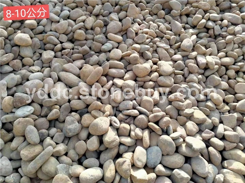 广东变压器鹅卵石批发填海大量水磨石文化石污水净化