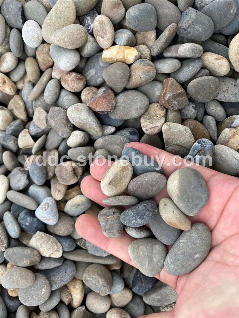 广东变压器鹅卵石源头厂家地铺大量水磨石山卵石卵石毛石
