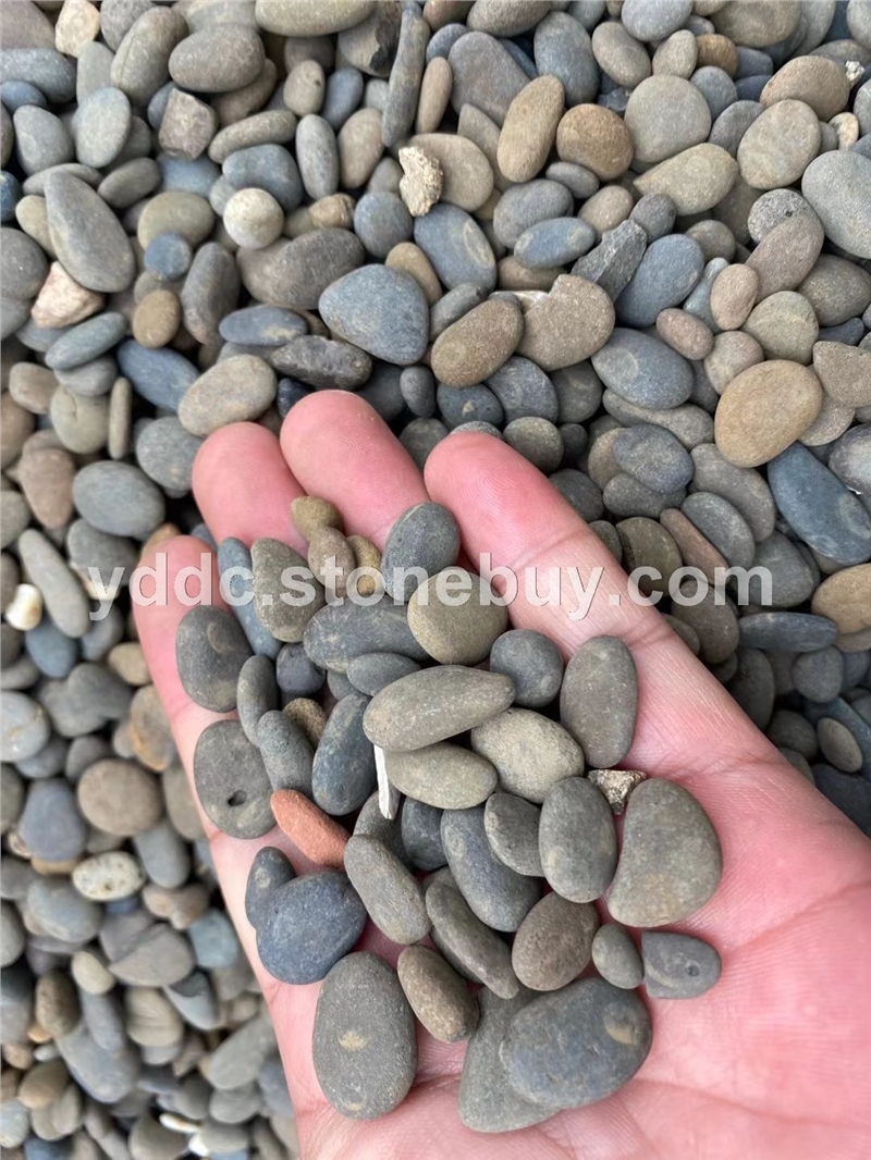 广东变压器鹅卵石源头厂家贴墙面大量水磨石山卵石公园用