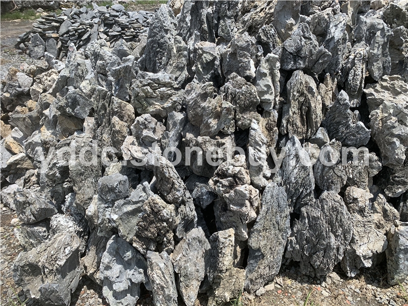 天然青龙石叠石盆景石附树石产地