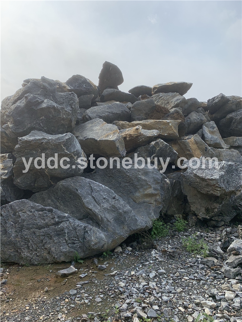 园林绿化太湖石房地产草坪景石草坪点缀奇石基地