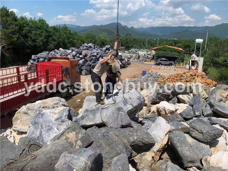 园林绿化太湖石假山石景观石驳岸石加工石一手货源