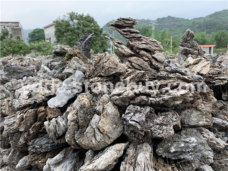 供應(yīng)天然原石小英石酒店景觀室內(nèi)陽(yáng)臺(tái)附樹(shù)石