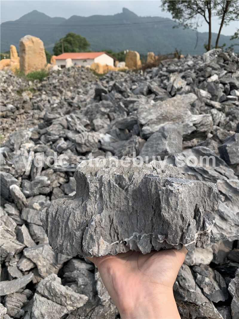 广东厂家供应小英石造型景观石草坪点缀石