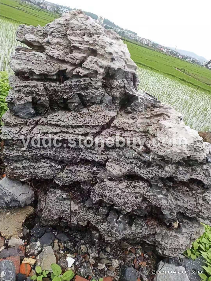 精品云雾石观赏石水草