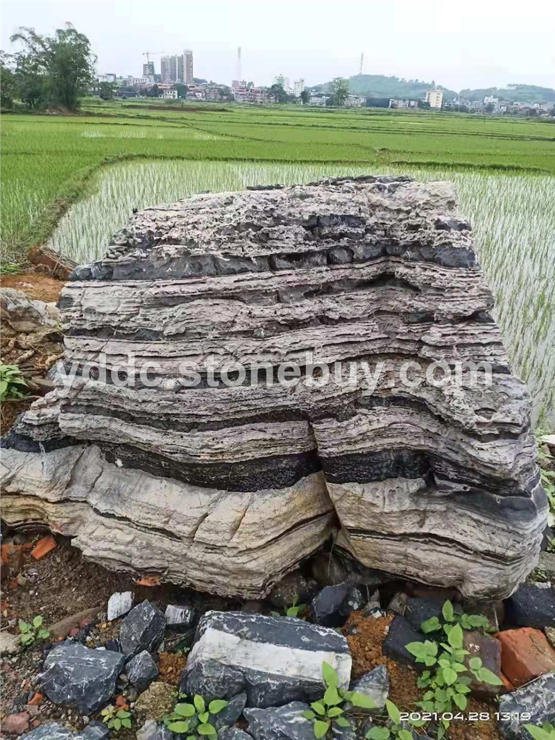 精品云雾石观赏石盆景