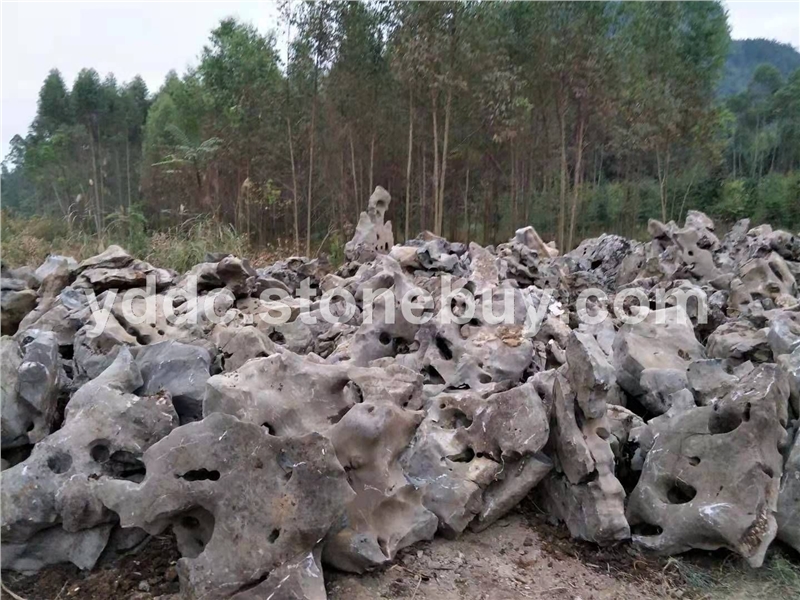 白太湖石小溪流水石质地坚硬