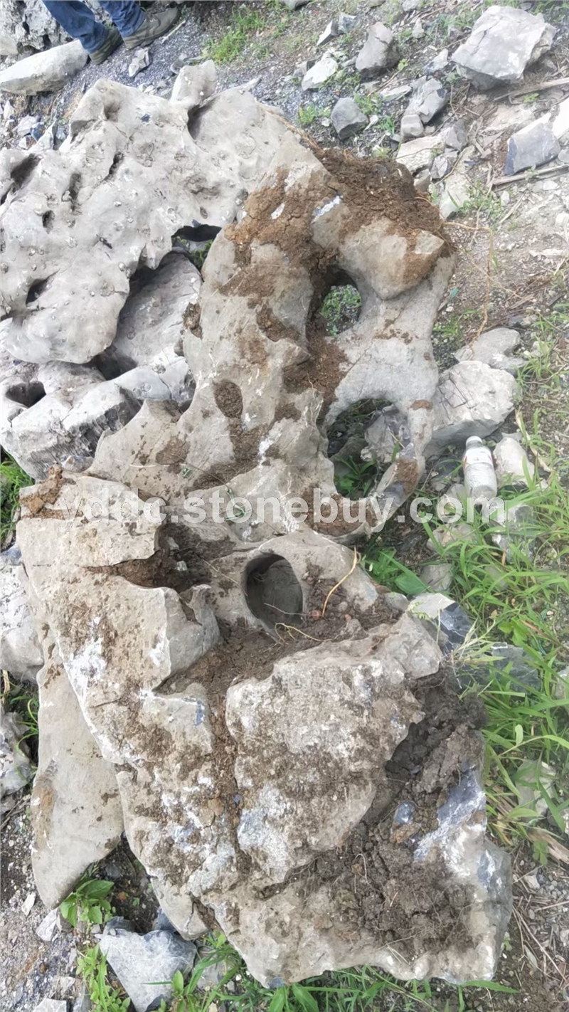 白太湖石白色景觀石綠地觀賞