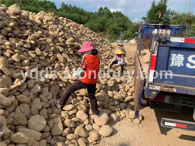 广东变压器鹅卵石装饰贴墙面大量水磨石小石头公园用