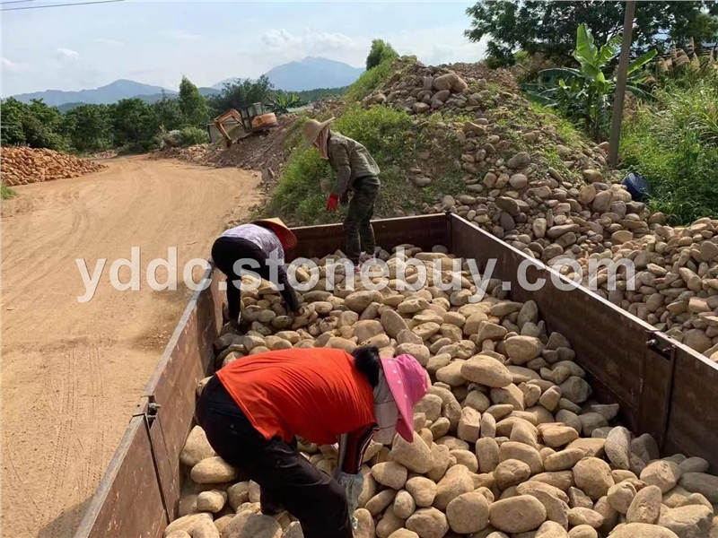 广东变压器鹅卵石装饰切片大量水磨石小石头贮油池