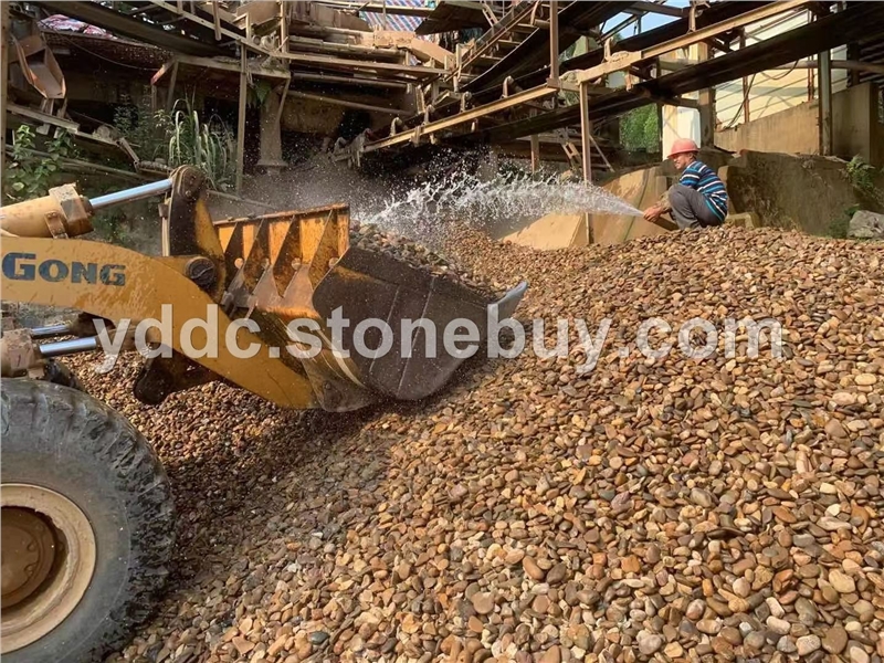 广东变压器鹅卵石供应路面点缀大量水磨石报价铺湖底