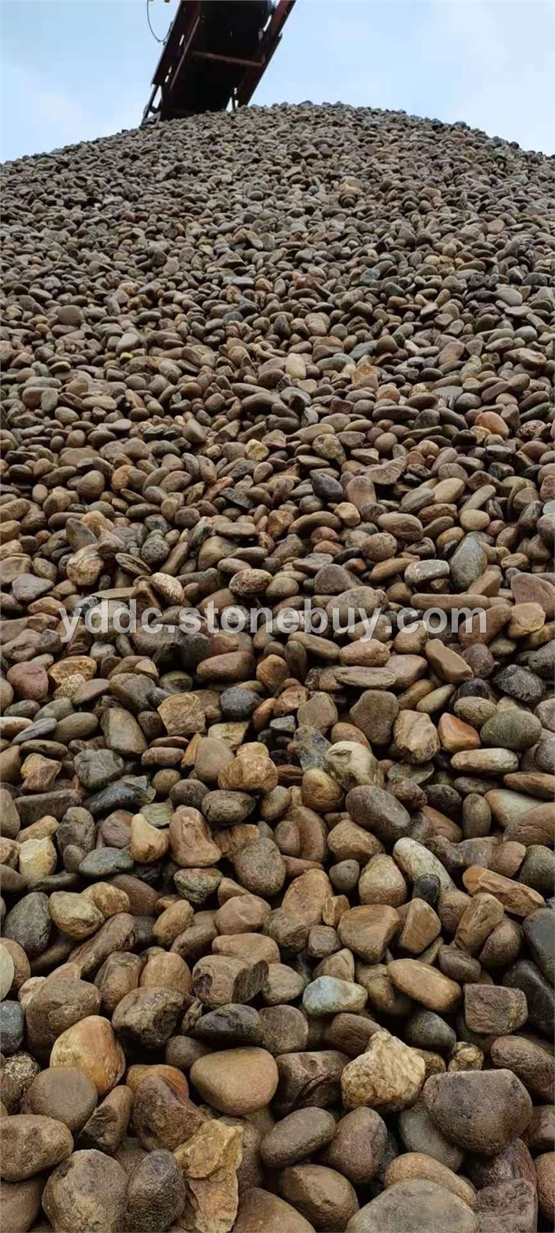 广东变压器鹅卵石供应切片大量水磨石报价贮油池