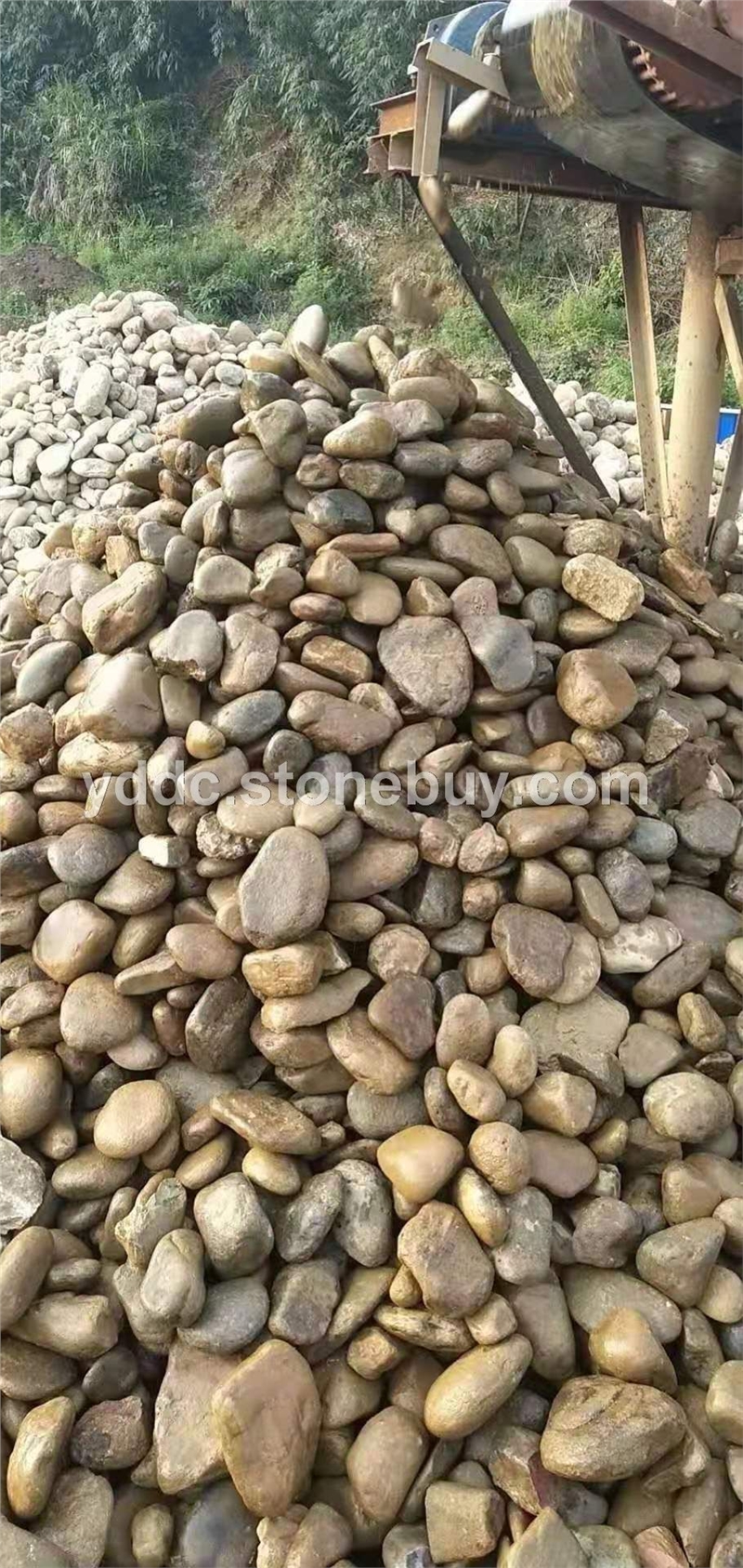 广东变压器鹅卵石供应造景石大量水磨石报价滤油池