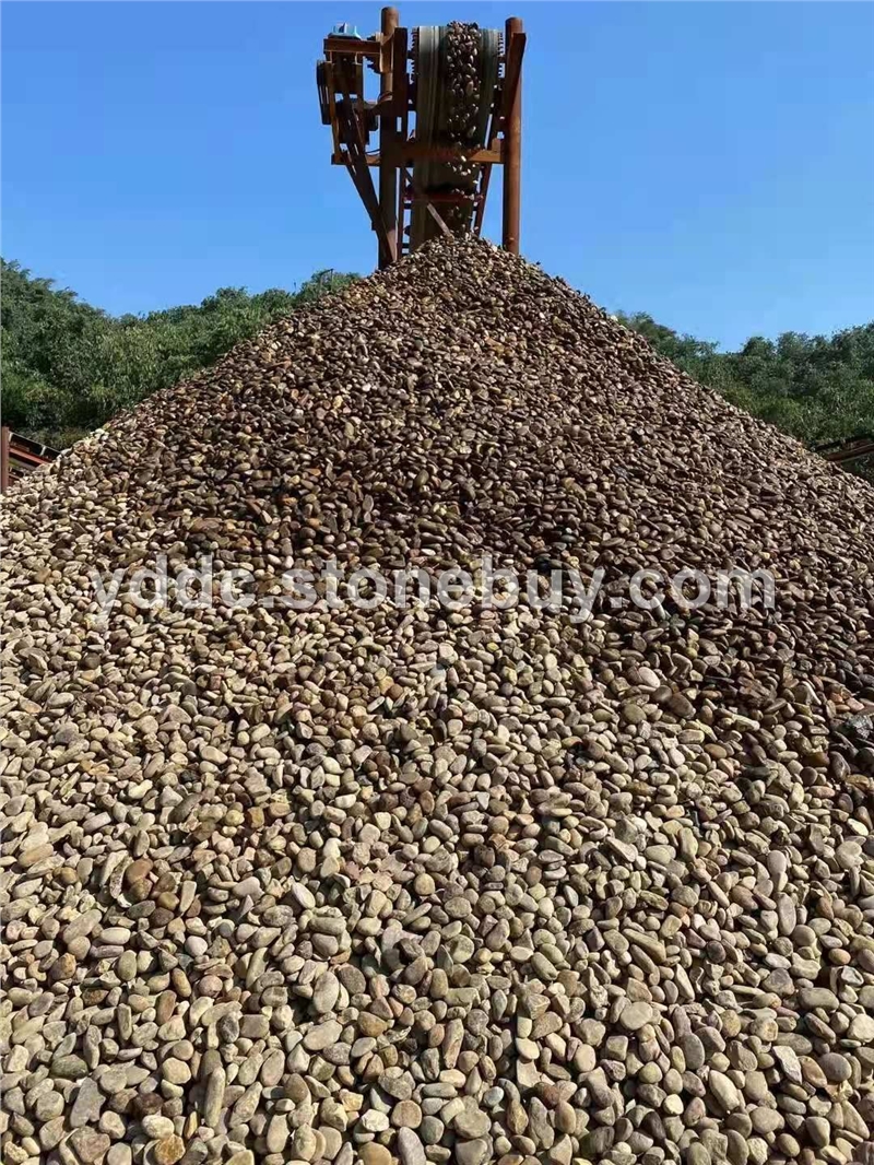 广东变压器鹅卵石供应铺路大量水磨石报价人工湖泊岸石