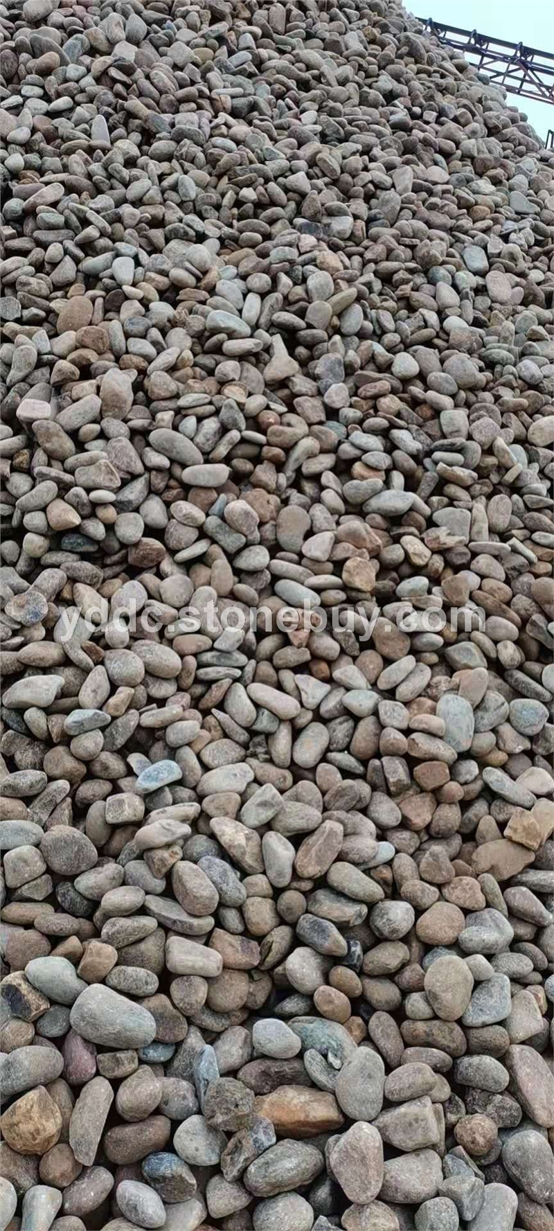 广东变压器鹅卵石供应铺面大量水磨石报价过滤