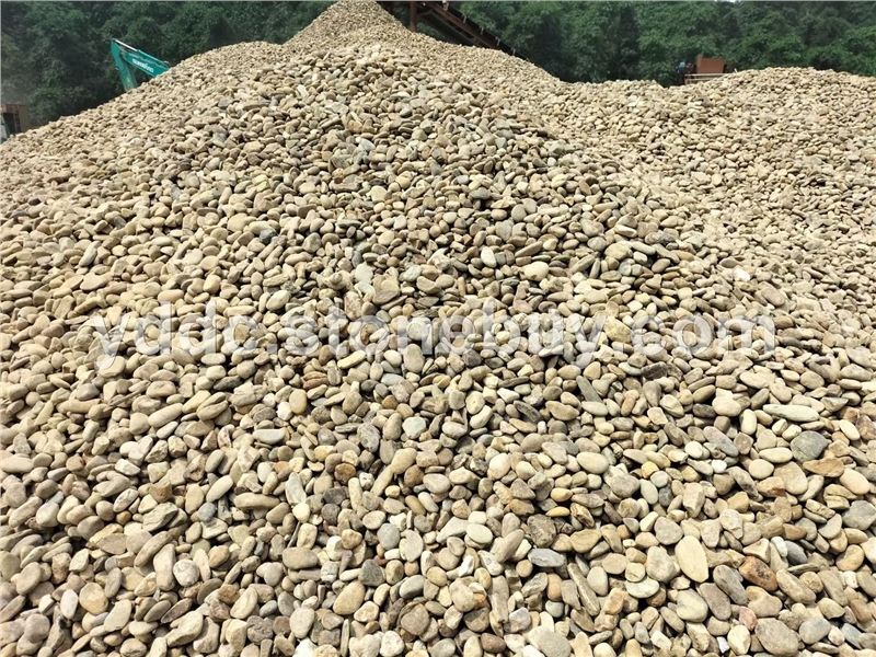 广东变压器鹅卵石价格滤石大量水磨石直供鱼池垫底