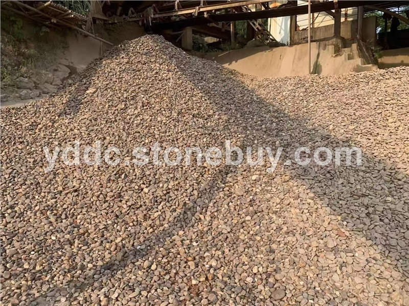 广东变压器鹅卵石价格路面点缀大量水磨石直供铺湖底