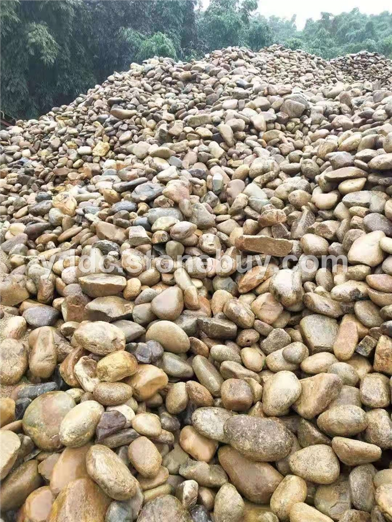 广东变压器鹅卵石价格地铺大量水磨石直供卵石毛石