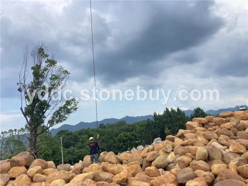 供應(yīng)小塊黃蠟石天然原石置景石水景瀑布山 河灘圍邊