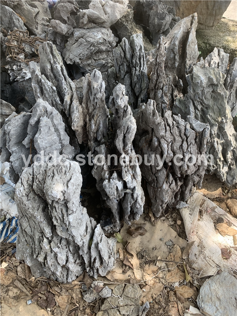 花园青龙石庭院流水景观造型