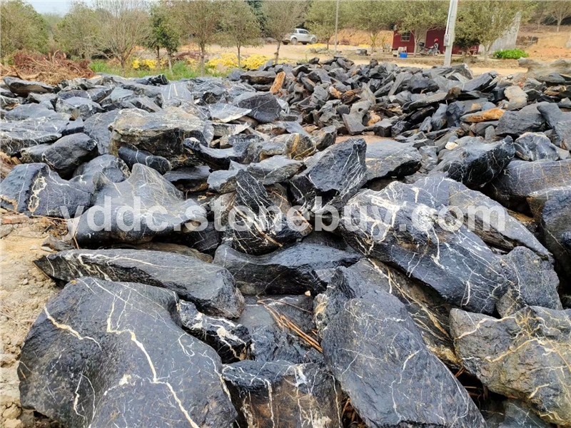 园林绿化太湖石湖岸水系花筋石头草坪点缀奇石基地