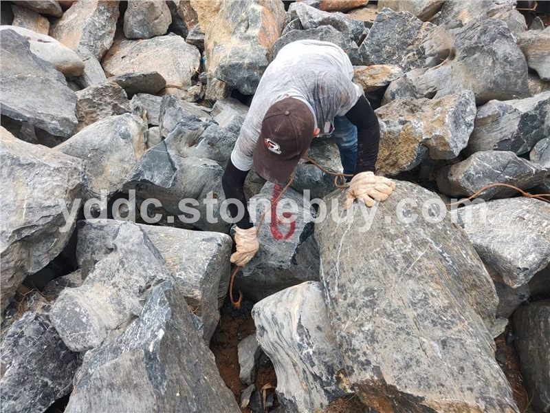 园林绿化太湖石房地产草坪景石驳岸石加工石一手货源