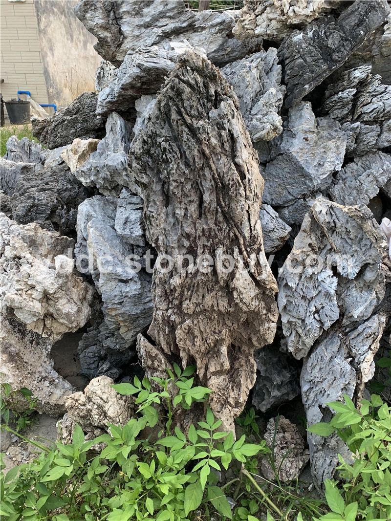 花园绿化生态小英石造型景观石草坪点缀石