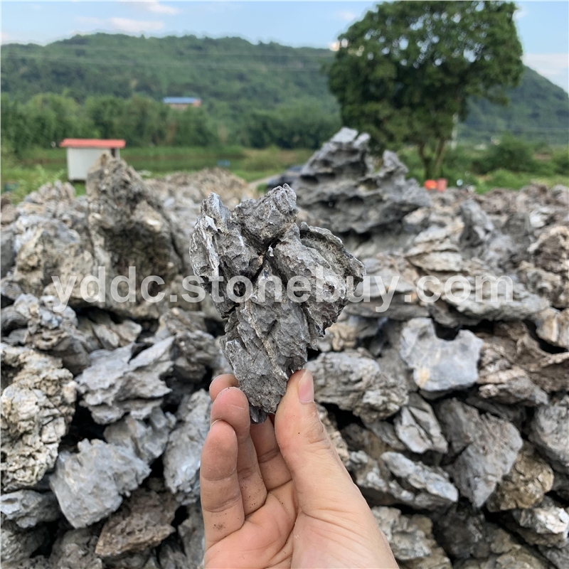 花園綠化生態(tài)小英石酒店景觀室內(nèi)陽臺(tái)附樹石
