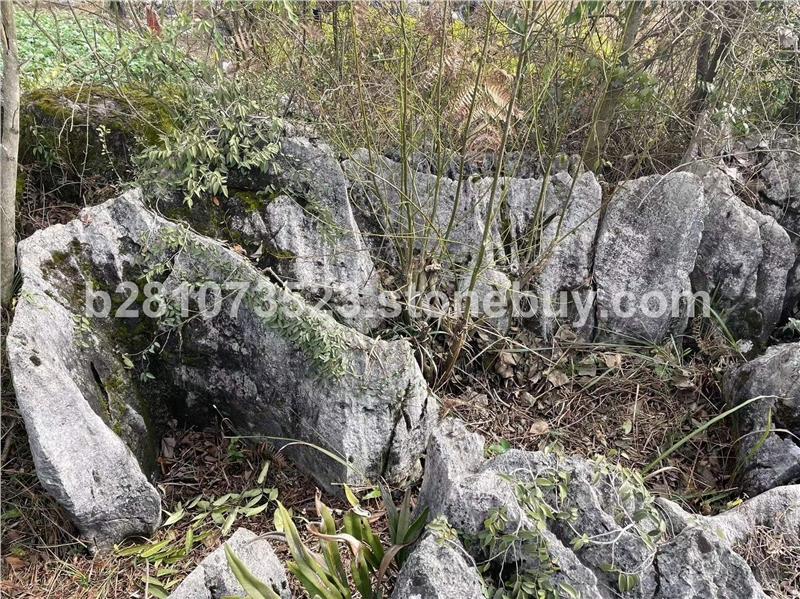 风景石