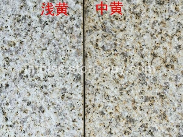 黄金麻中黄、黄金麻浅黄