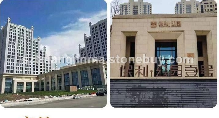 外墙干挂案列