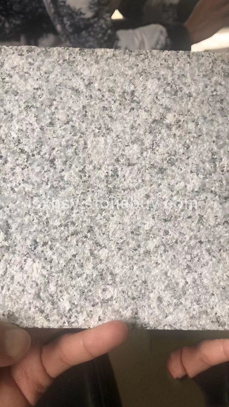 廣西芝麻灰荔枝面