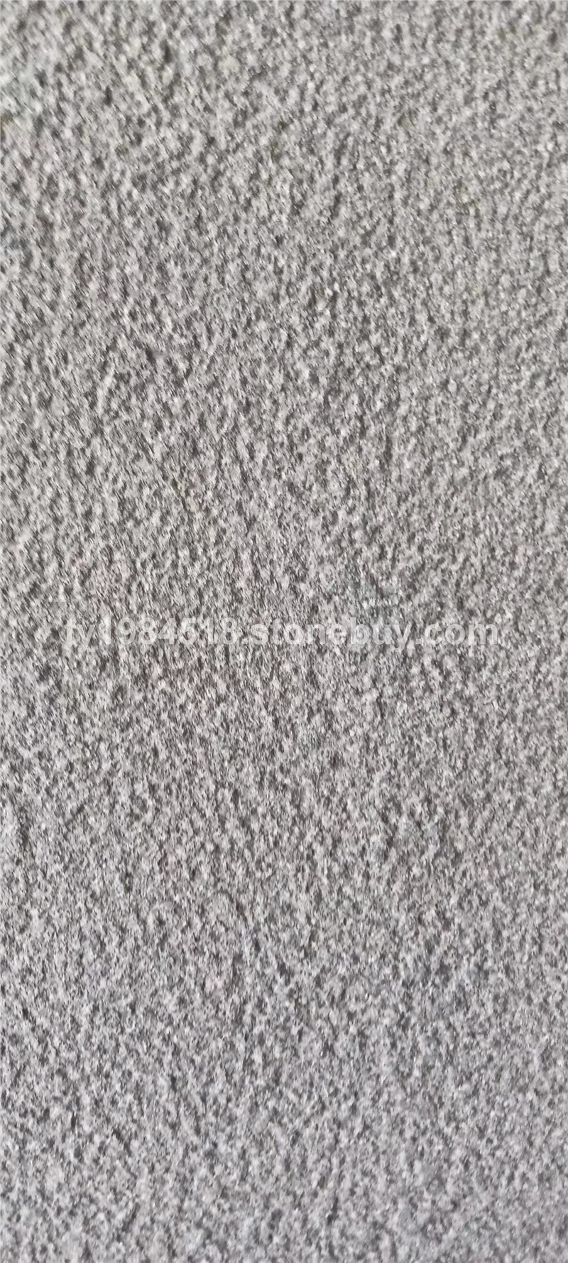 新矿蒙古荔枝面