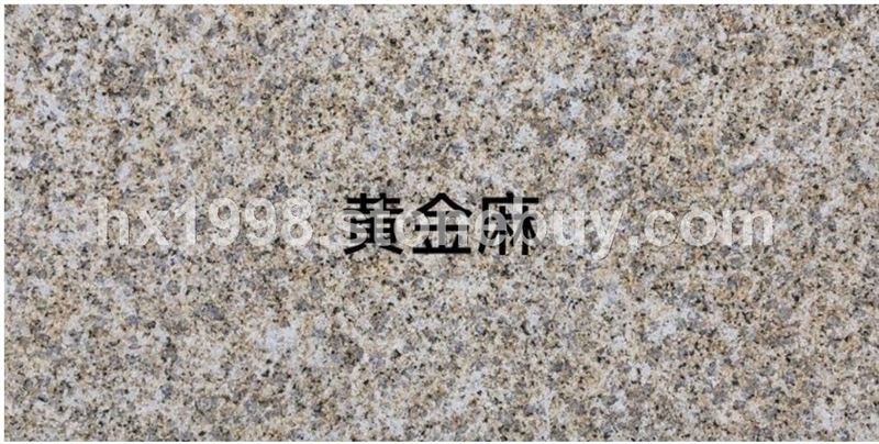 随州黄金麻黄锈石中黄荔枝面