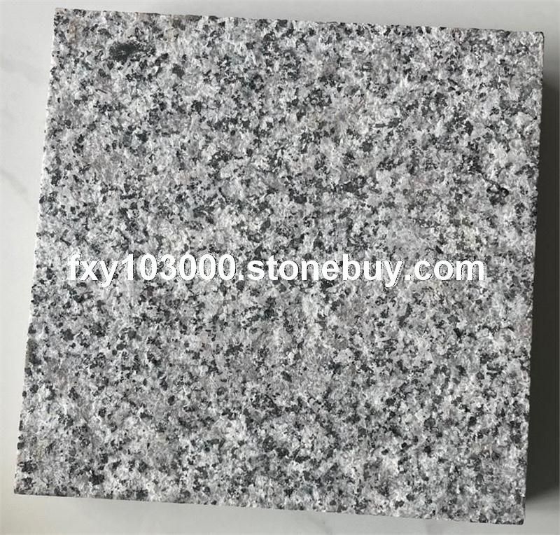 古典灰麻 福建芝麻灰 福建灰麻