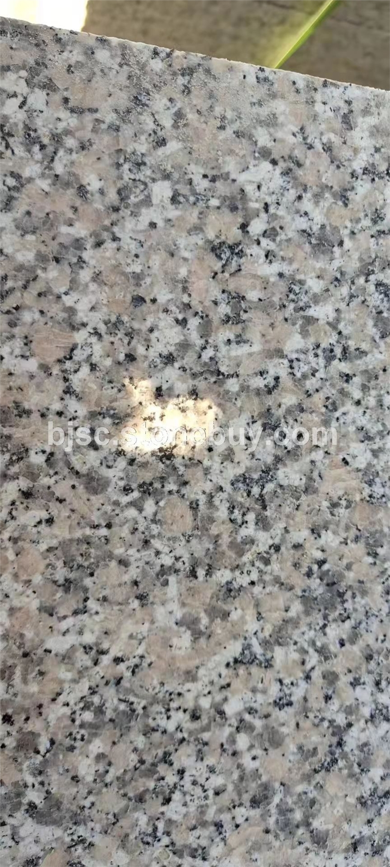 吉林红磨光板