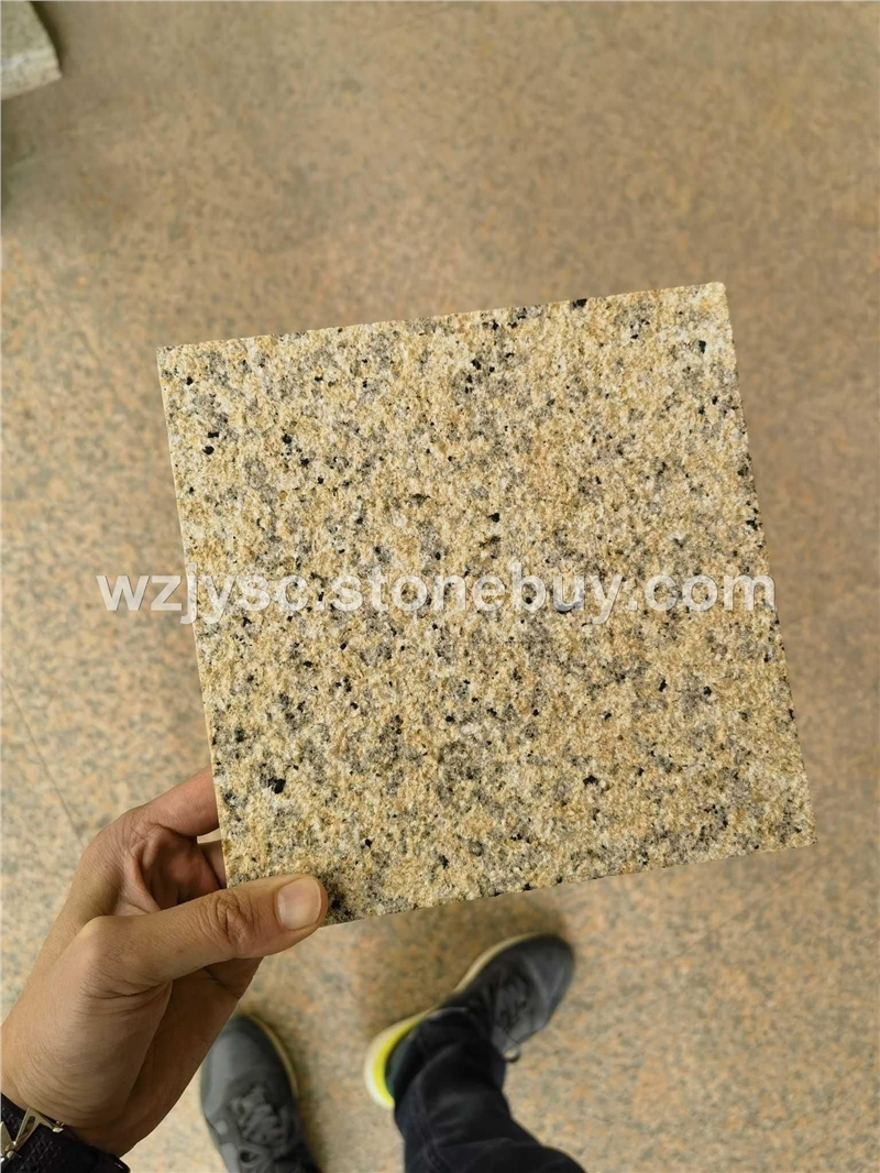 阿拉善黄（提锈）