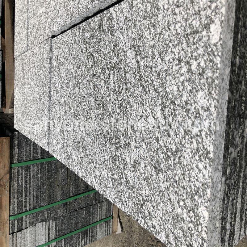 缅甸夜里雪荔枝面