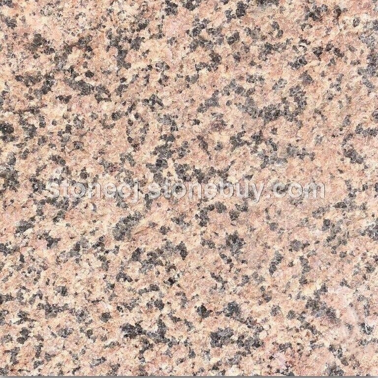 沙漠棕火烧面