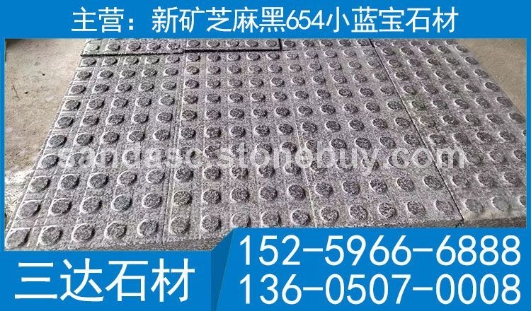 小藍寶-3