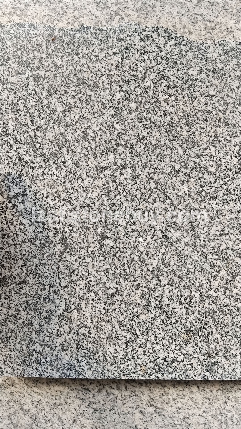 芝麻黑厂家