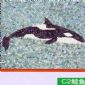 C2鯨魚