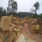 The King of yellow sandstone--shengshi