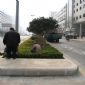 城市街道隔車帶