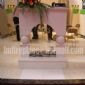 F-019(欧式出口壁炉架Fireplace Mantel)