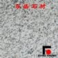 福建白麻光板