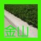 五蓮紅路牙石