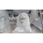汉白玉雕塑雪花白汉白玉文化石 雪花白 东方白 卡拉拉白 细花白 鱼肚白 雪花玉 宝兴白 爵士