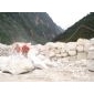 ����